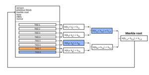 Schema merkle proof.png